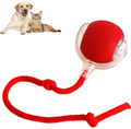 Smart automatic rolling ball toy for pets in motion on the floor