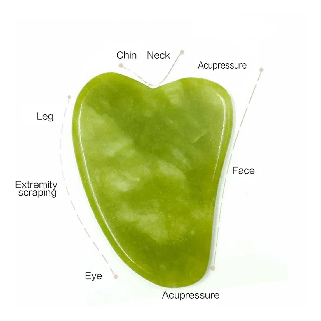 Gua Sha & Jade Roller Set — Natural Facial Sculptor